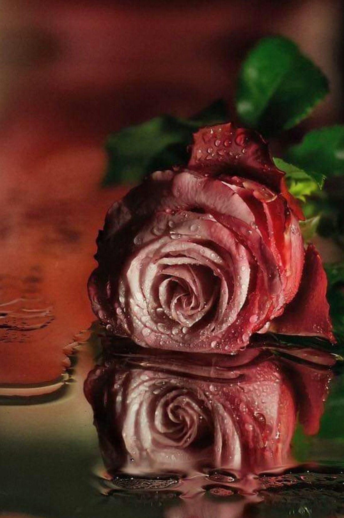 Красивый букет цветов