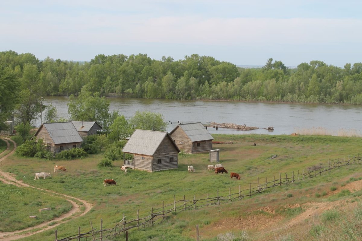Воспоминания о деревне