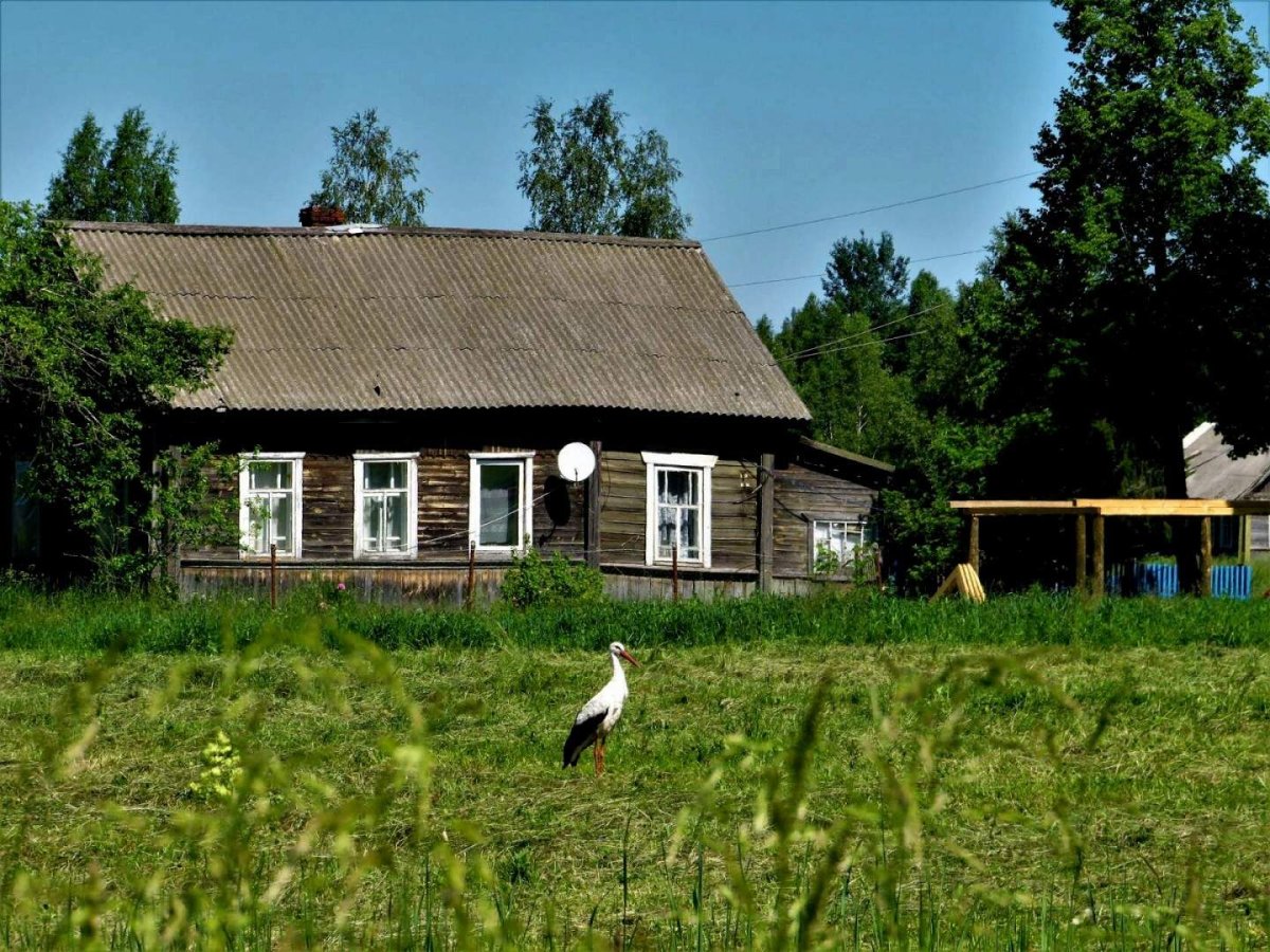Деревня деревеньки Калужская область