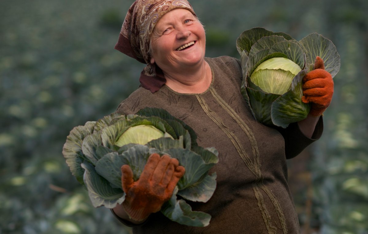 Бабушка с урожаем