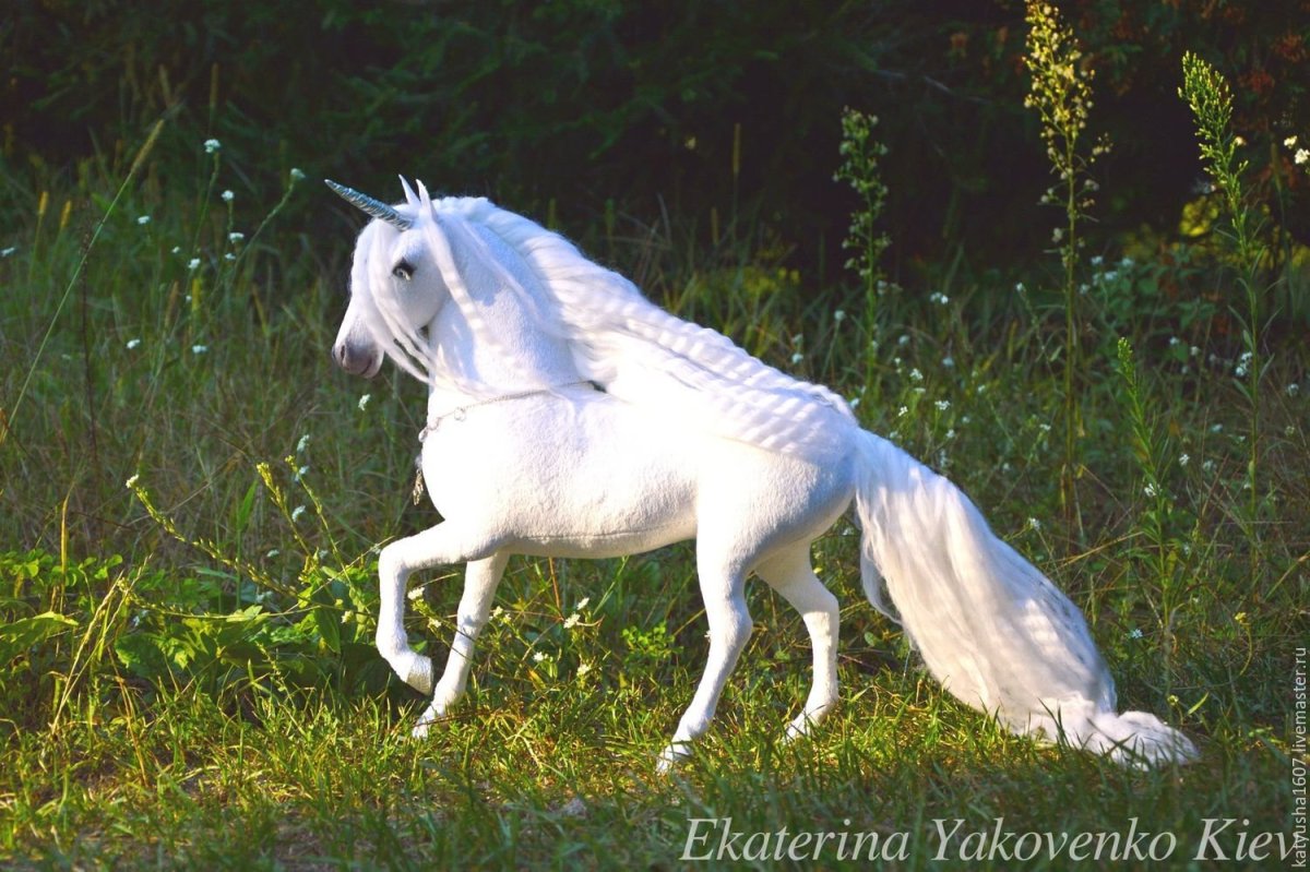 Единорог фото