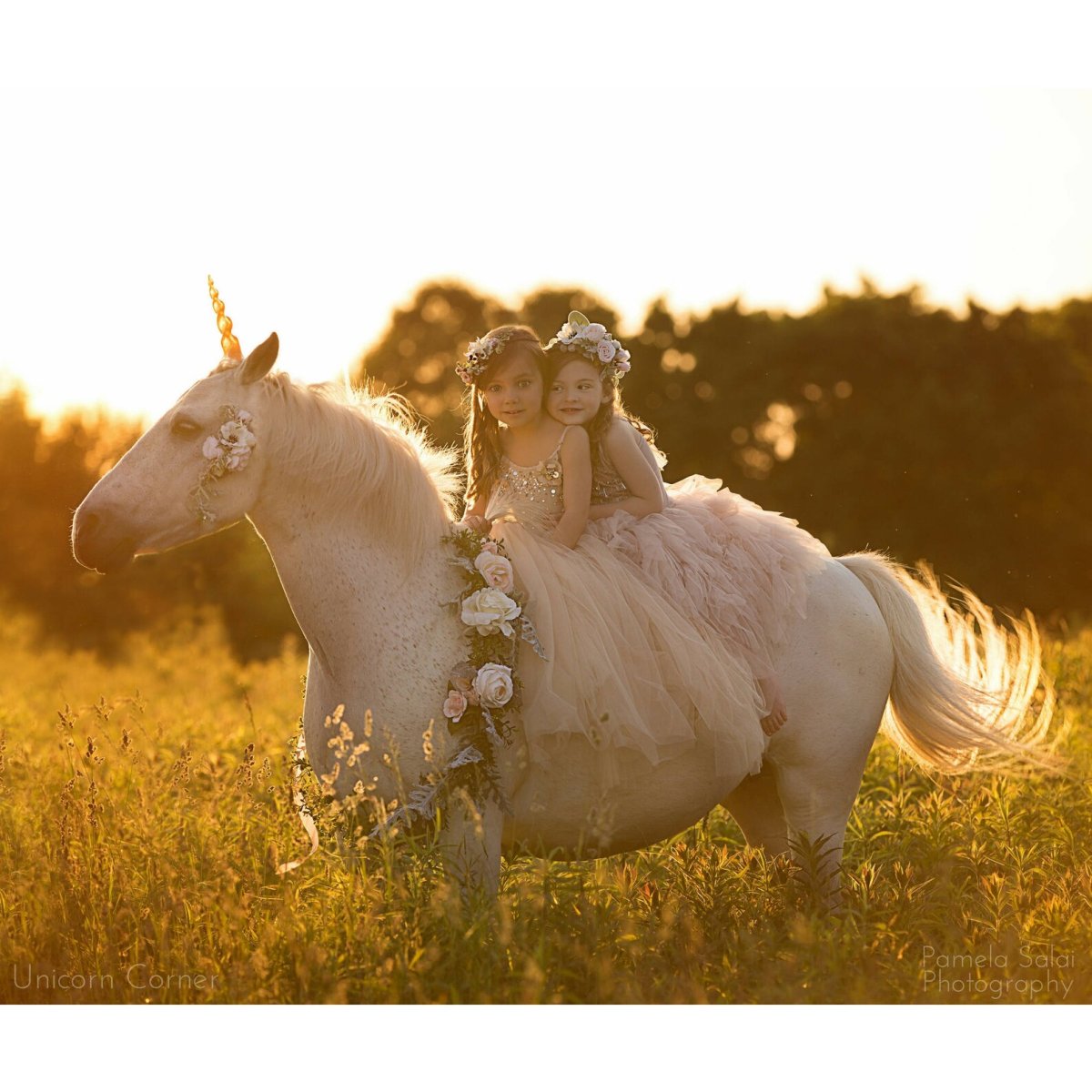 Сфотографироваться с единорогом