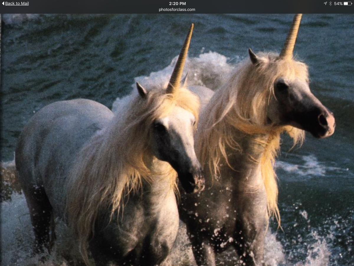 Единорог Стэнли