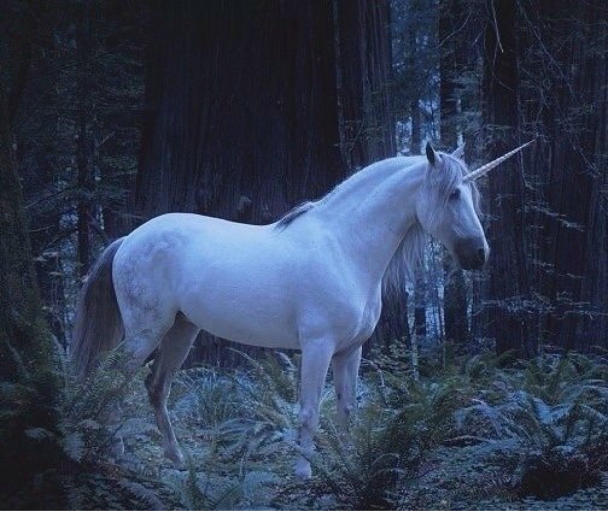 Пони Радуга Единорог