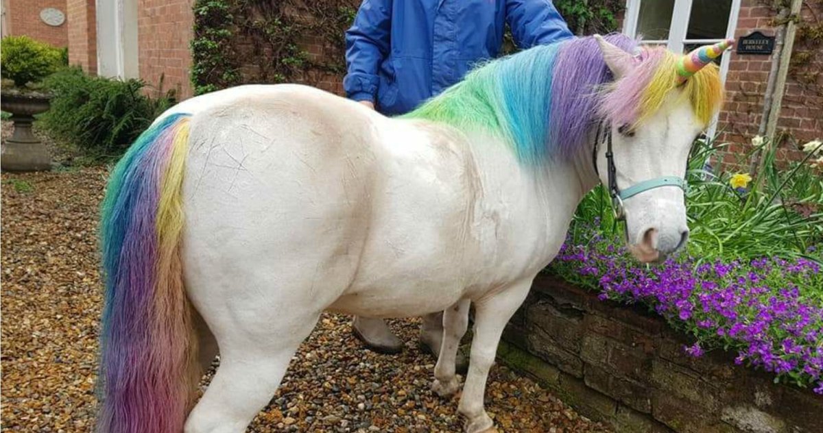 Детеныш единорога