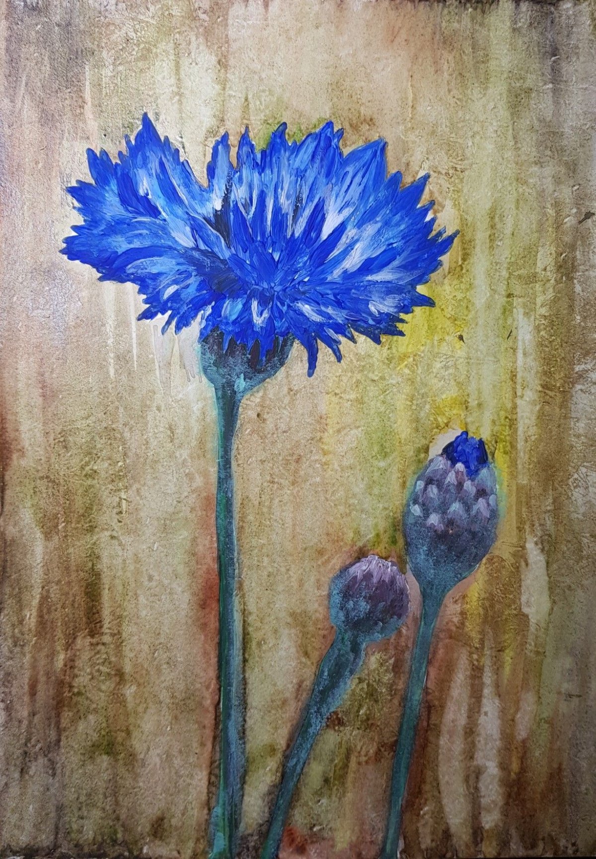 Васильки красками для детей