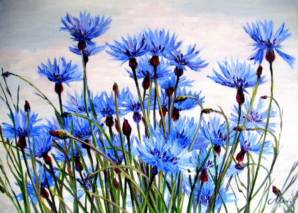 Васильки акварелью