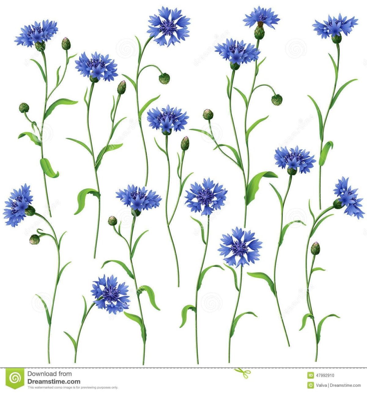 Василек роспись