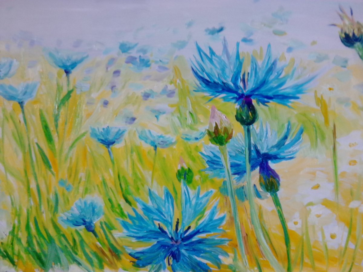 Васильки цветы