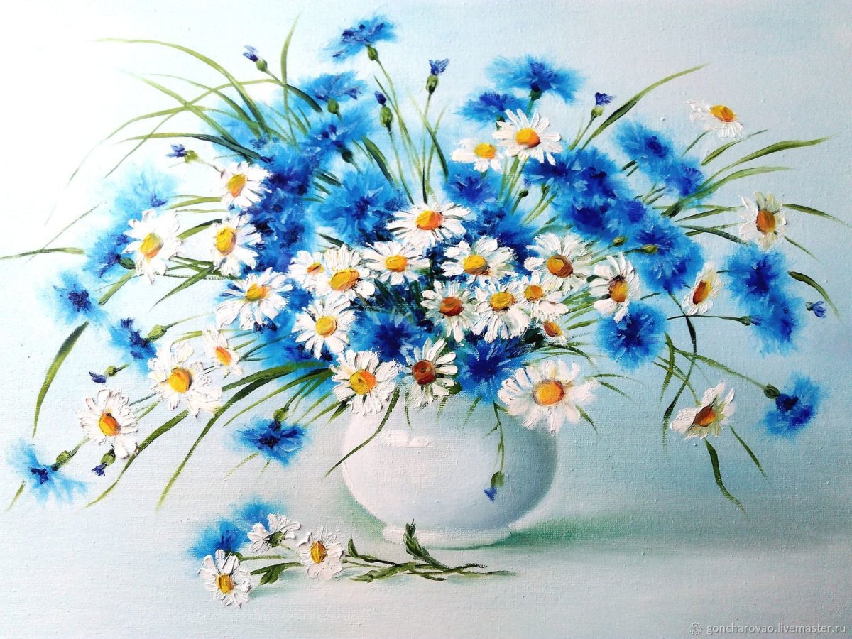 Васильки на белом фоне