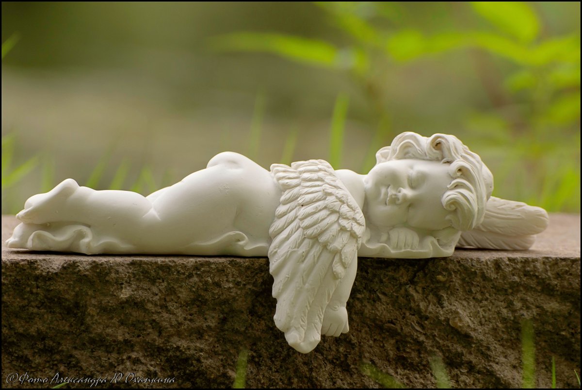 Ангел спящий