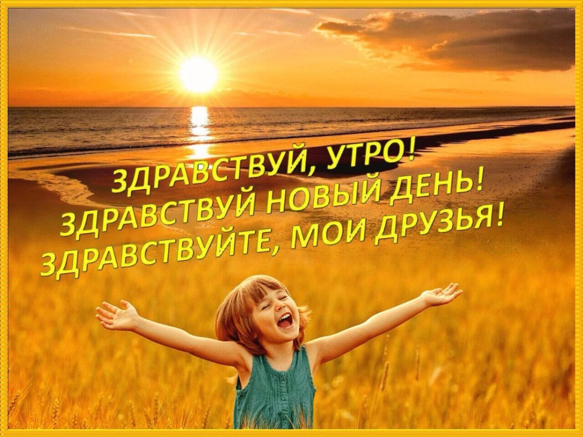 Летнее утро