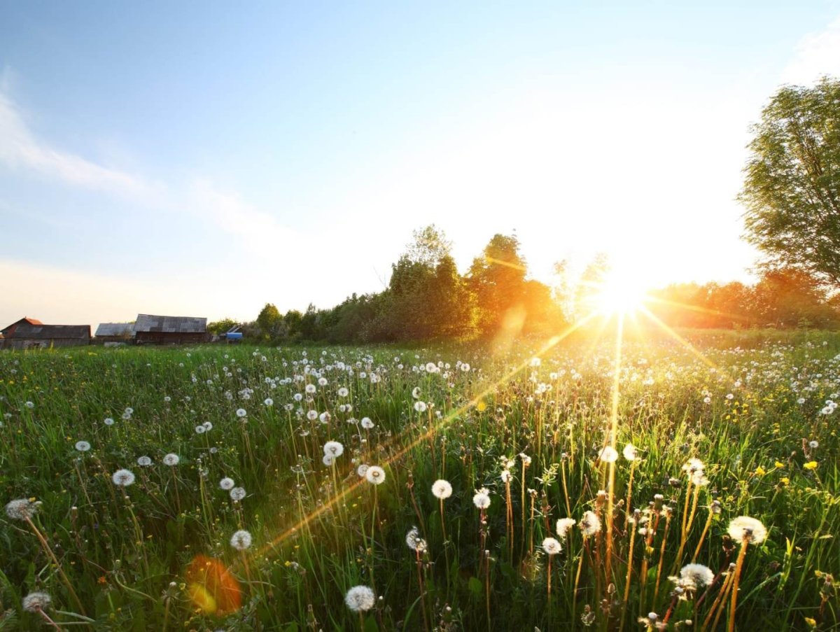 Осенний рассвет