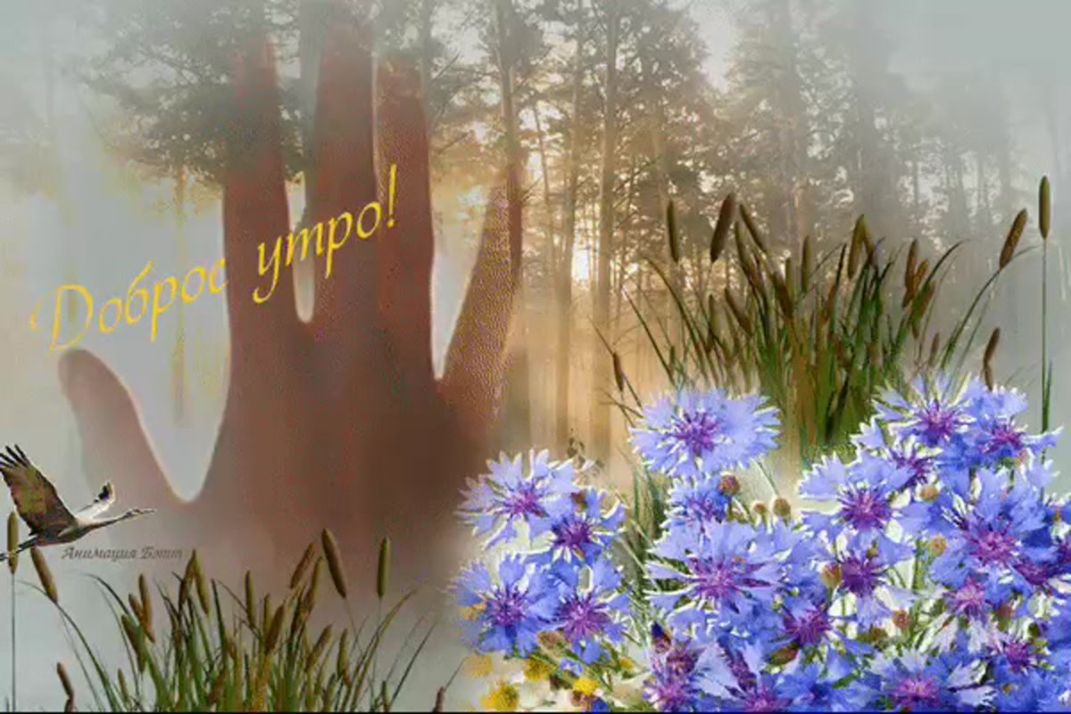 Доброе солнечное утро