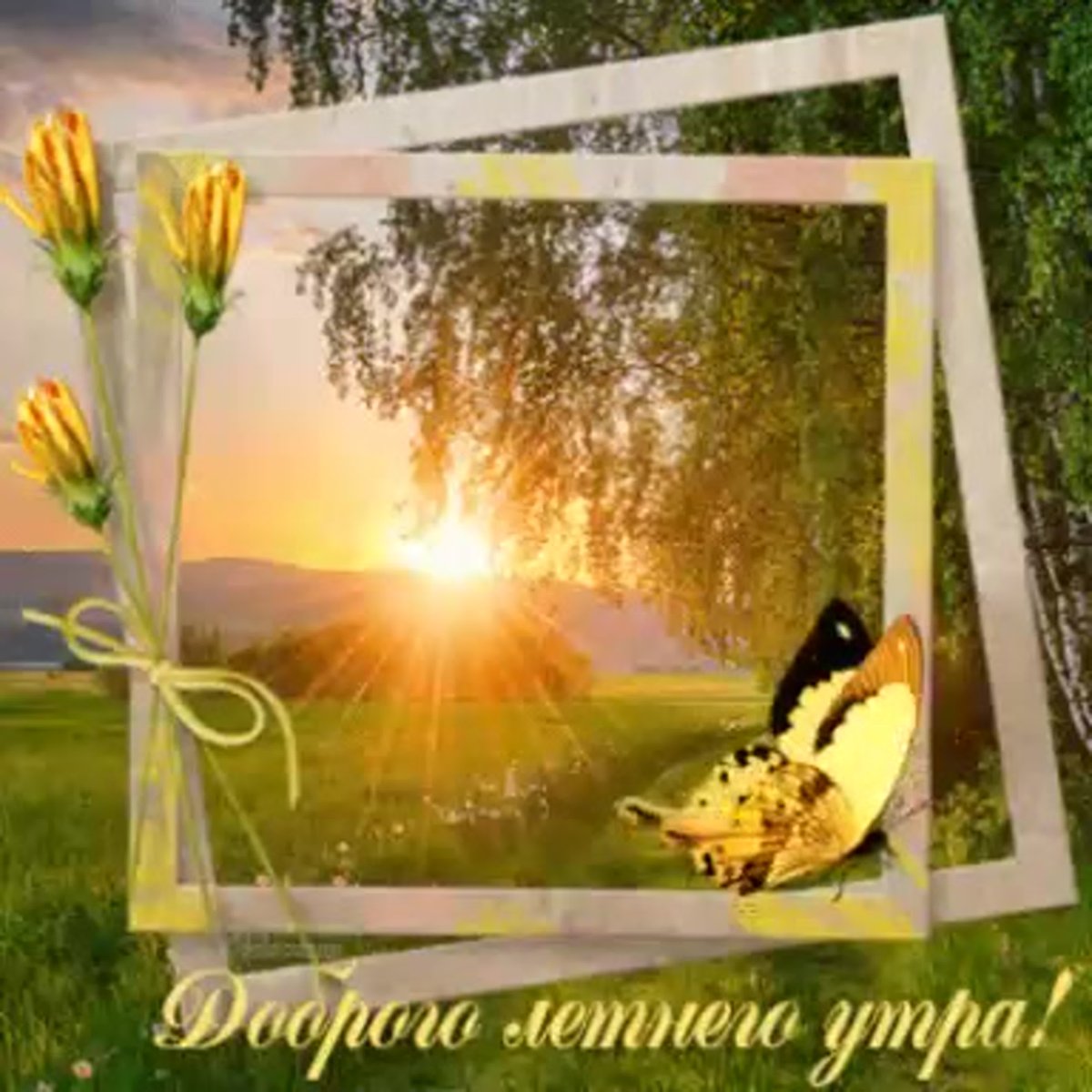 Доброе солнечное утро хорошего дня