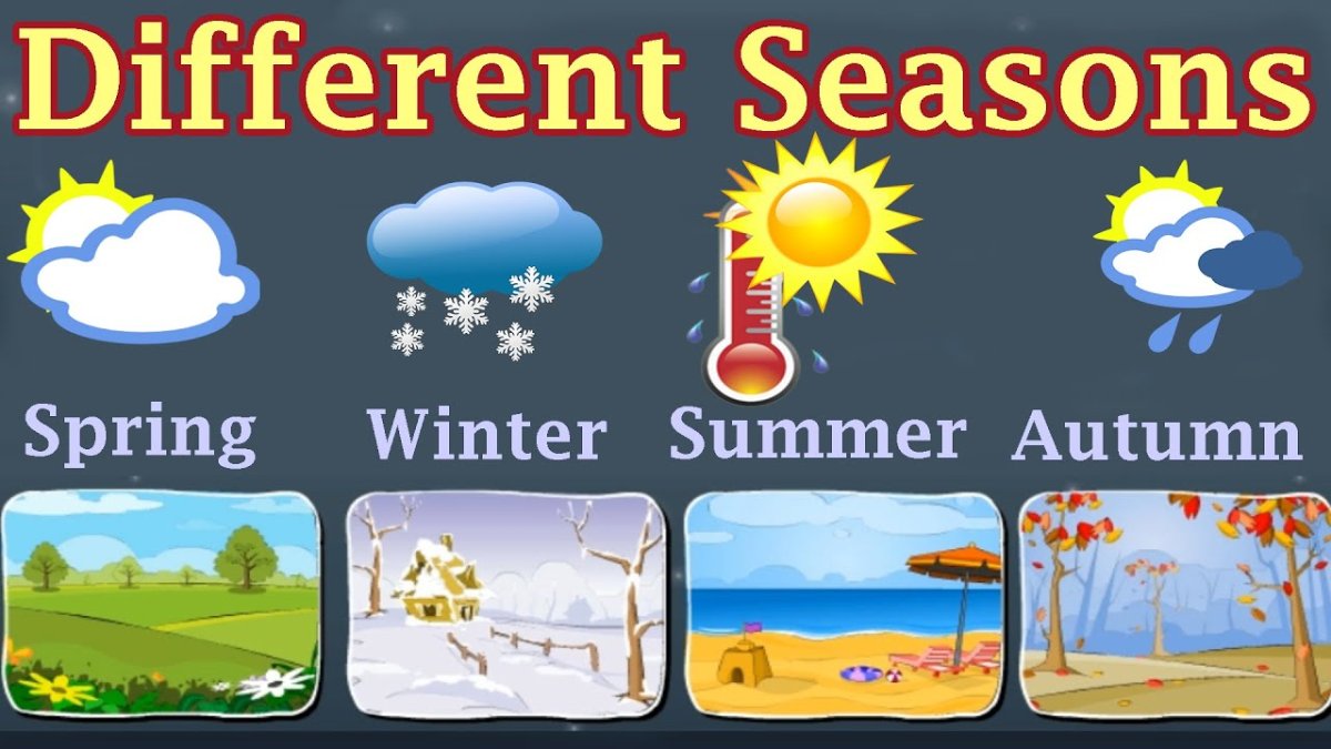 Тема Seasons and weather