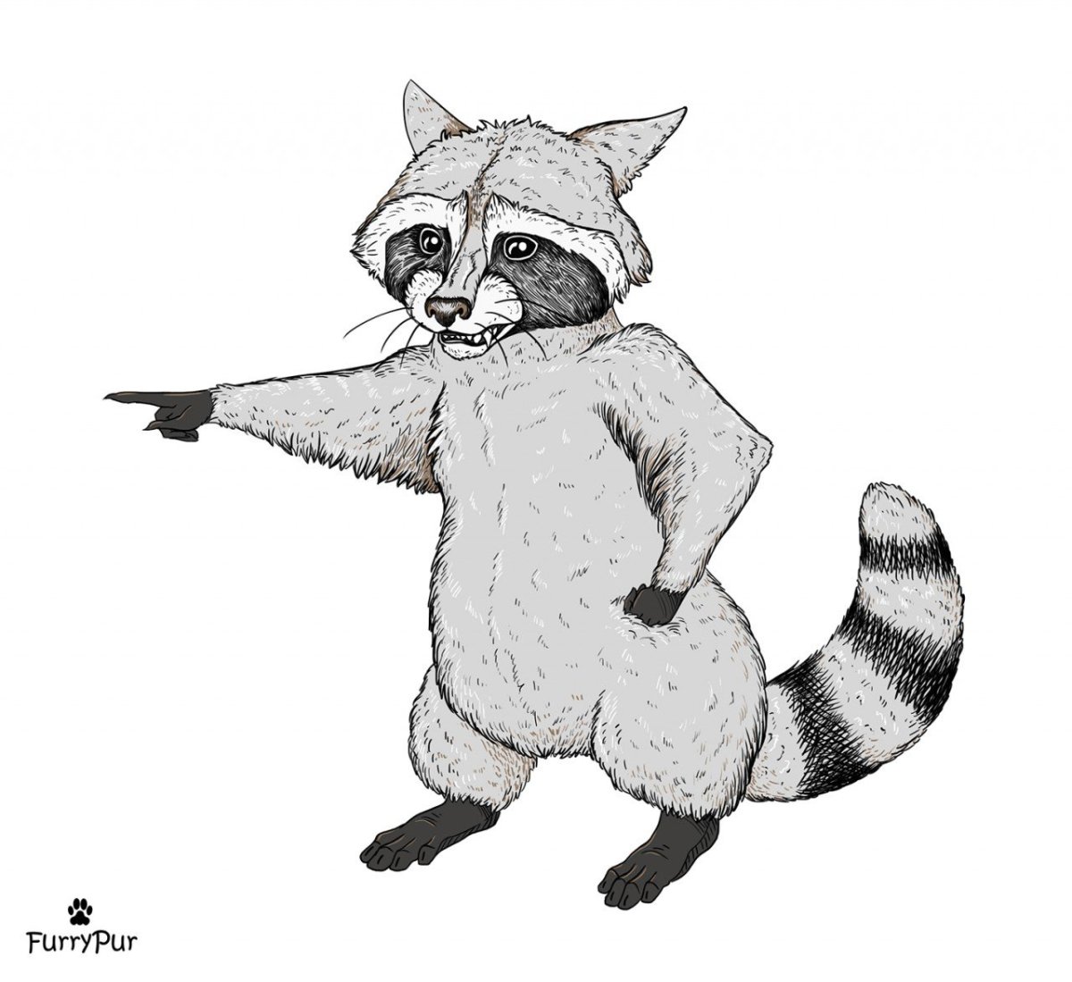 Картинки енота для срисовки