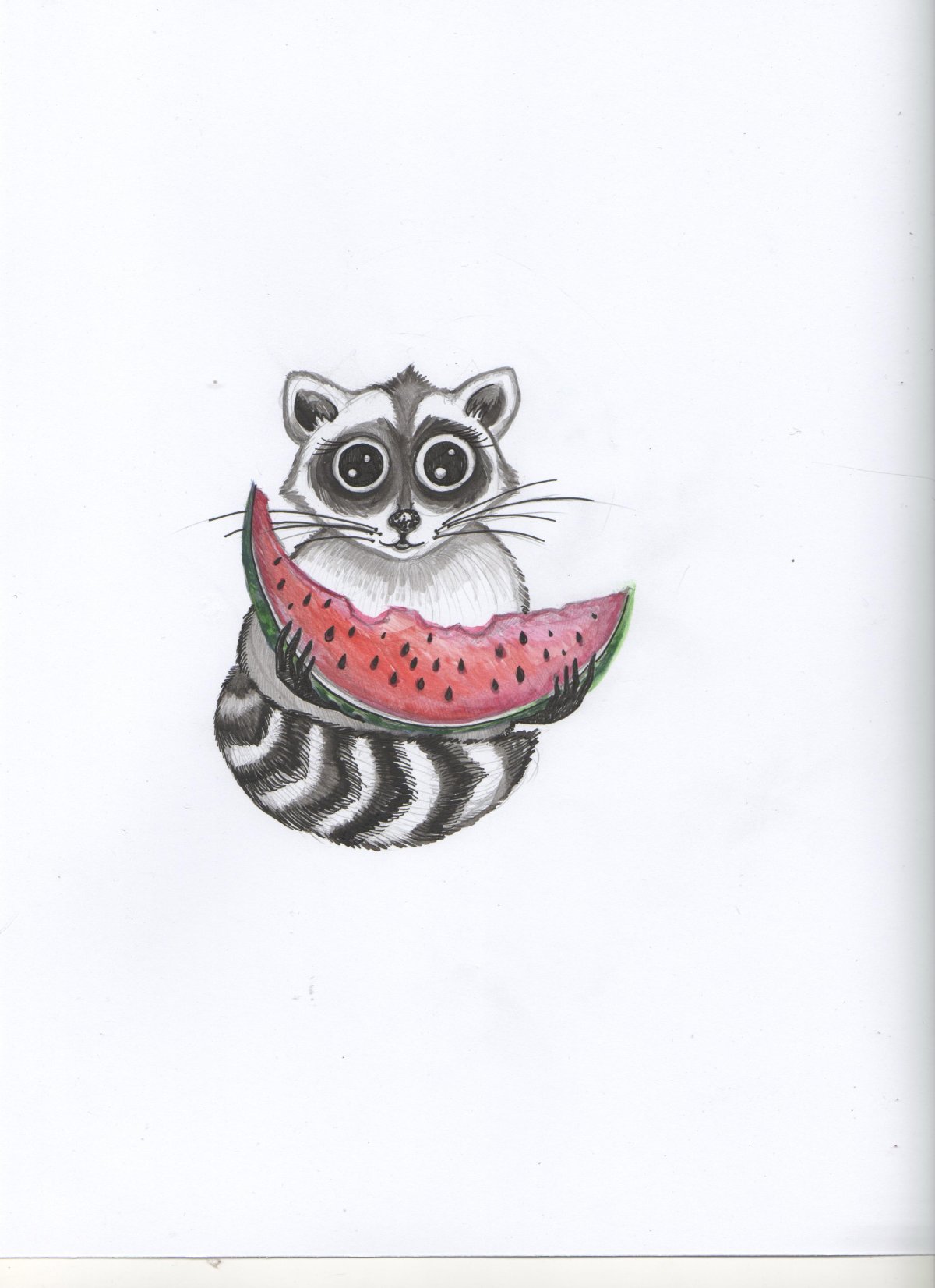 Енот сзади арт