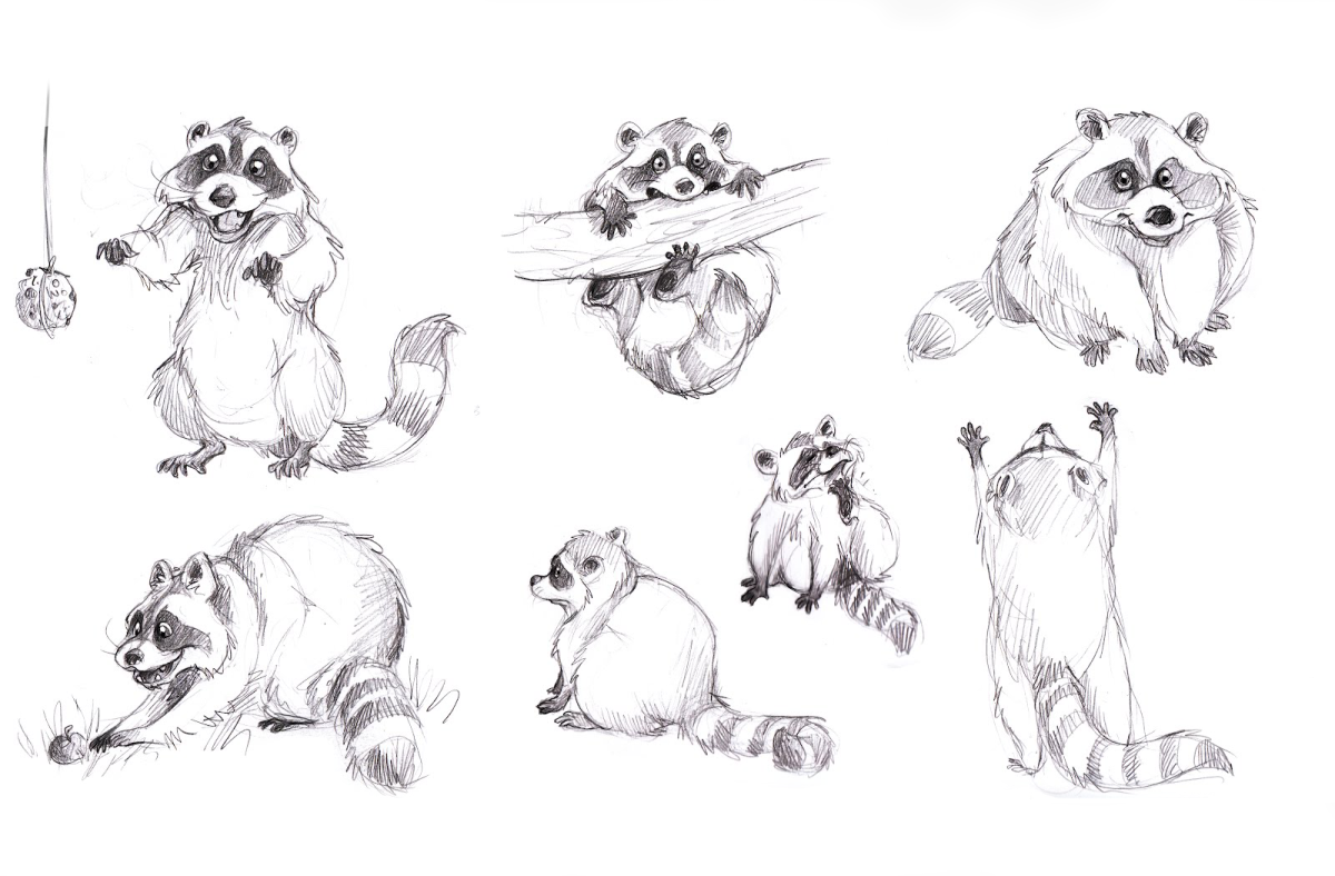 Енот полоскун арт