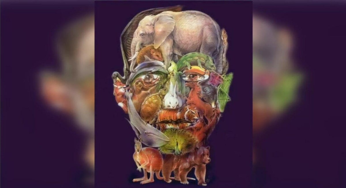 Тест на болезнь Альцгеймера Найди верблюда