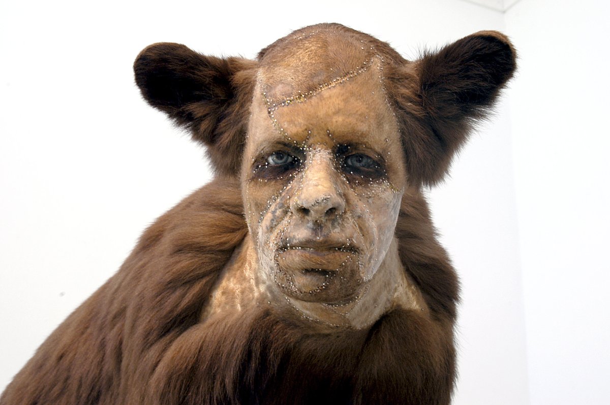 Животные с человеческим лицом