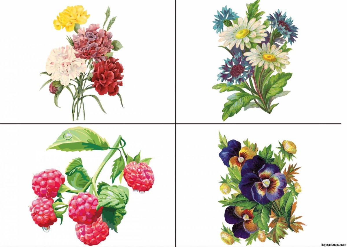 Задания для дошкольников wdctns