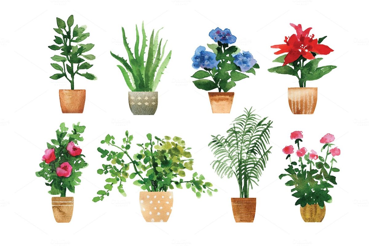 Дидактическая игра «что сначала, что потом» для детей 5-6 лет