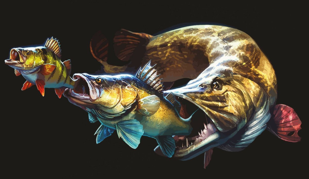 Tommy Kinnerup рисунки