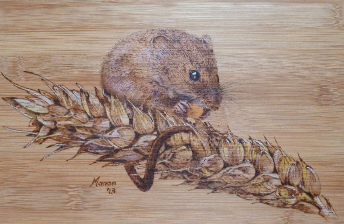 Хомяк для выжигания по дереву