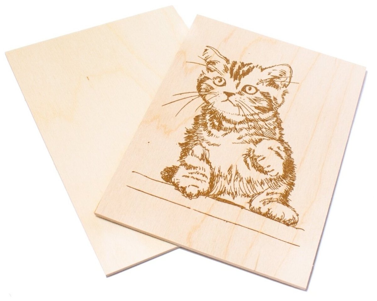 Десятое королевство набор для выжигания котик 01796