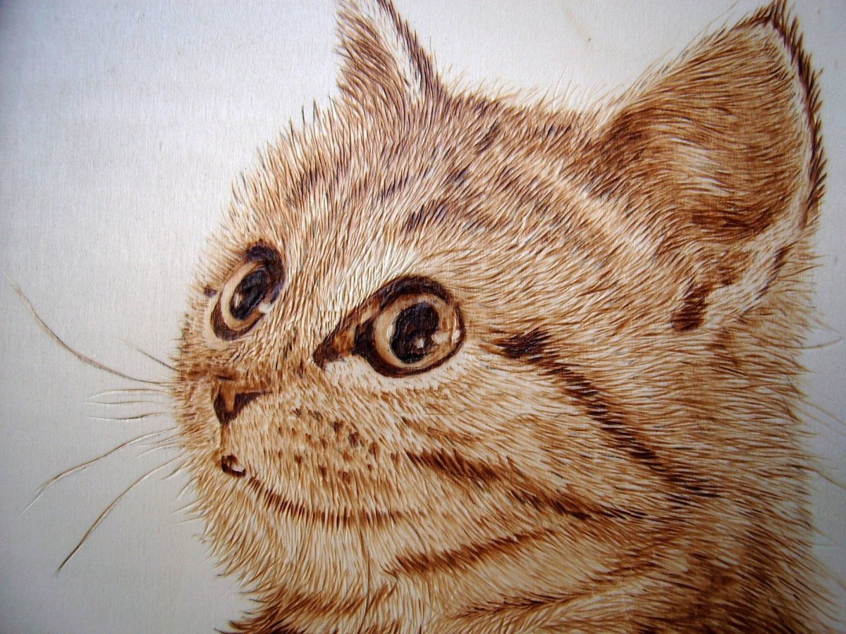 Выжигание животных