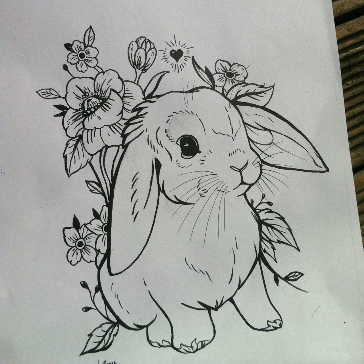 Рисунок кролика для срисовки