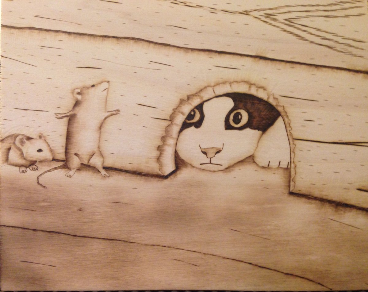 Пирография мордашка кошечки для ее домика