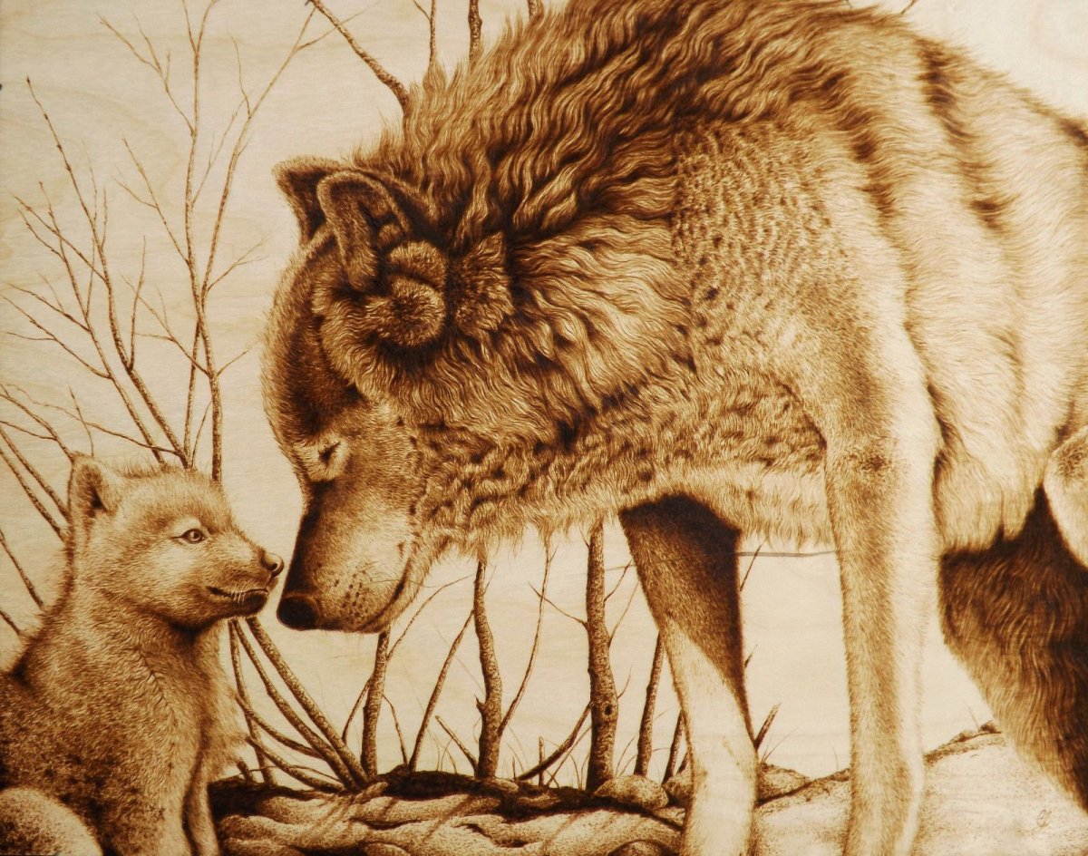 Выжигание животных