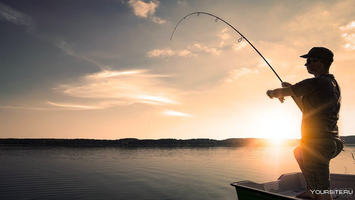 Красивая рыбалка