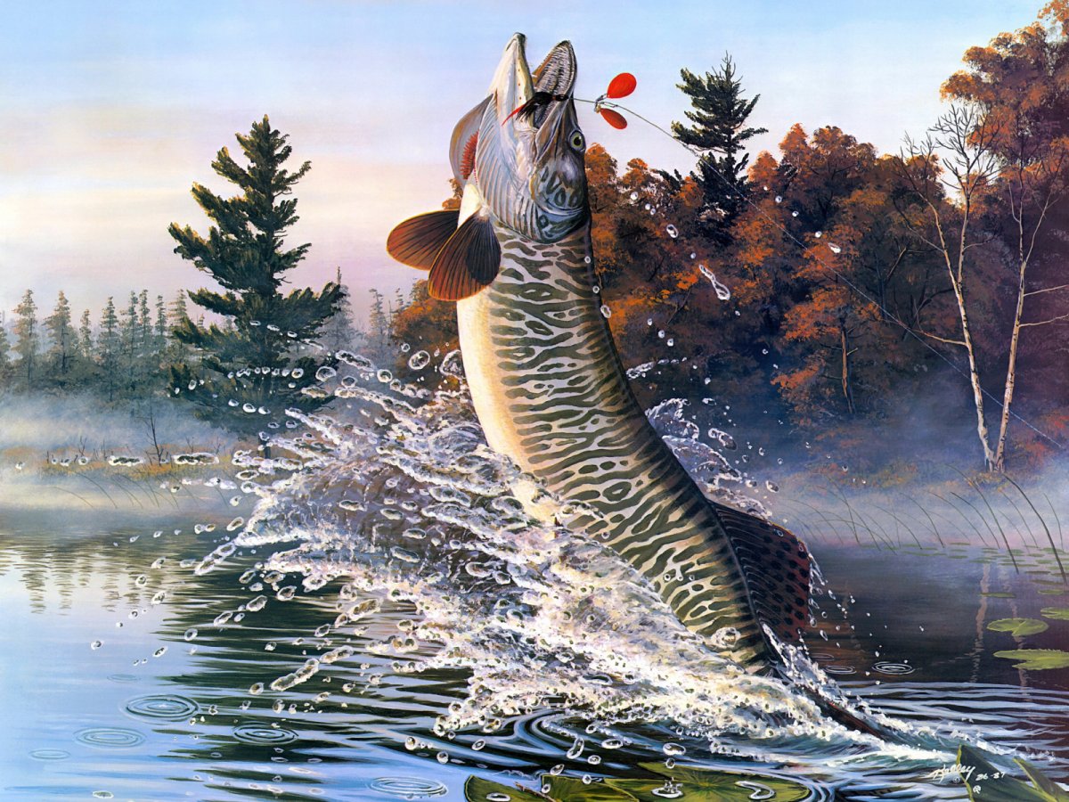 Картина щука Пайк