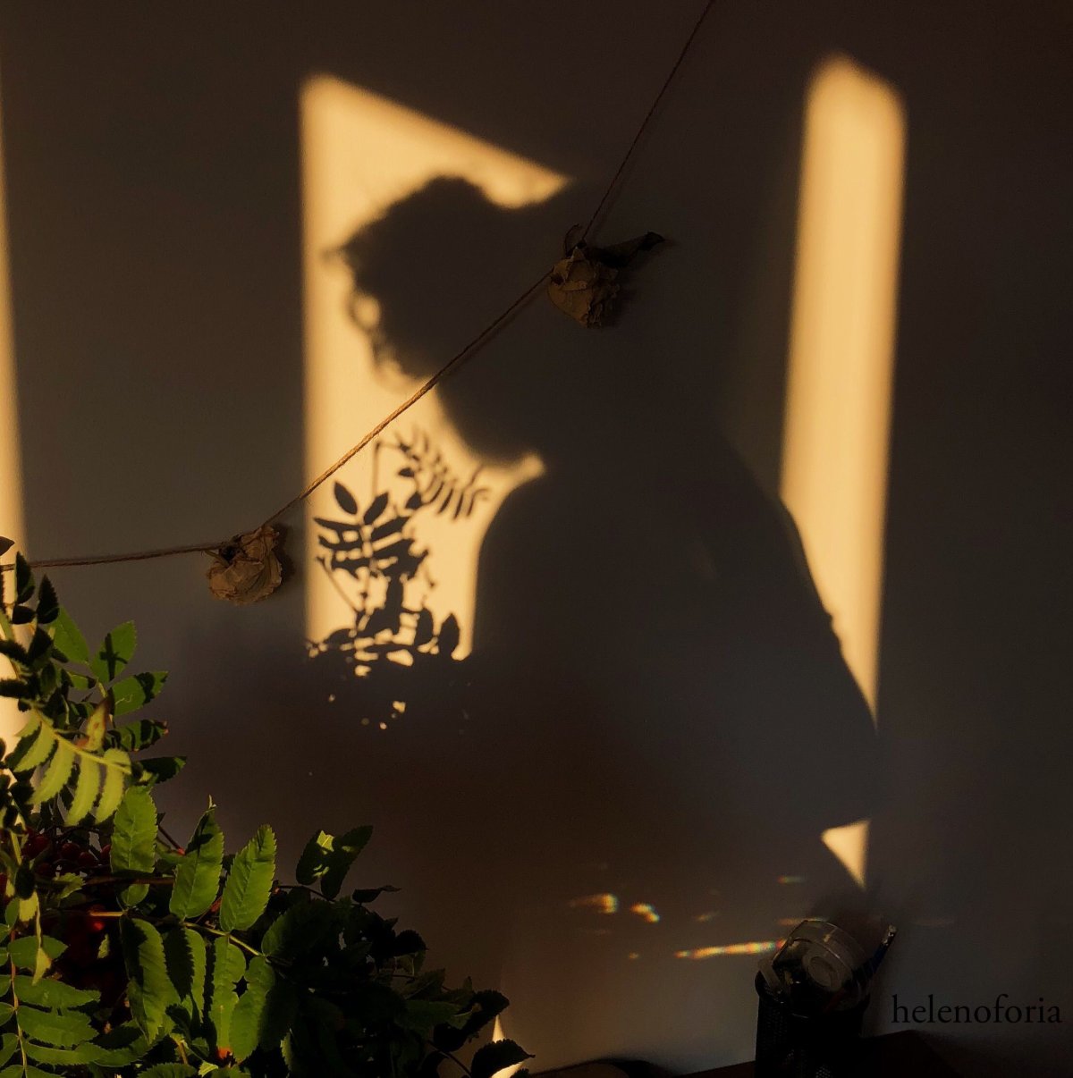 Эстетика феи тень