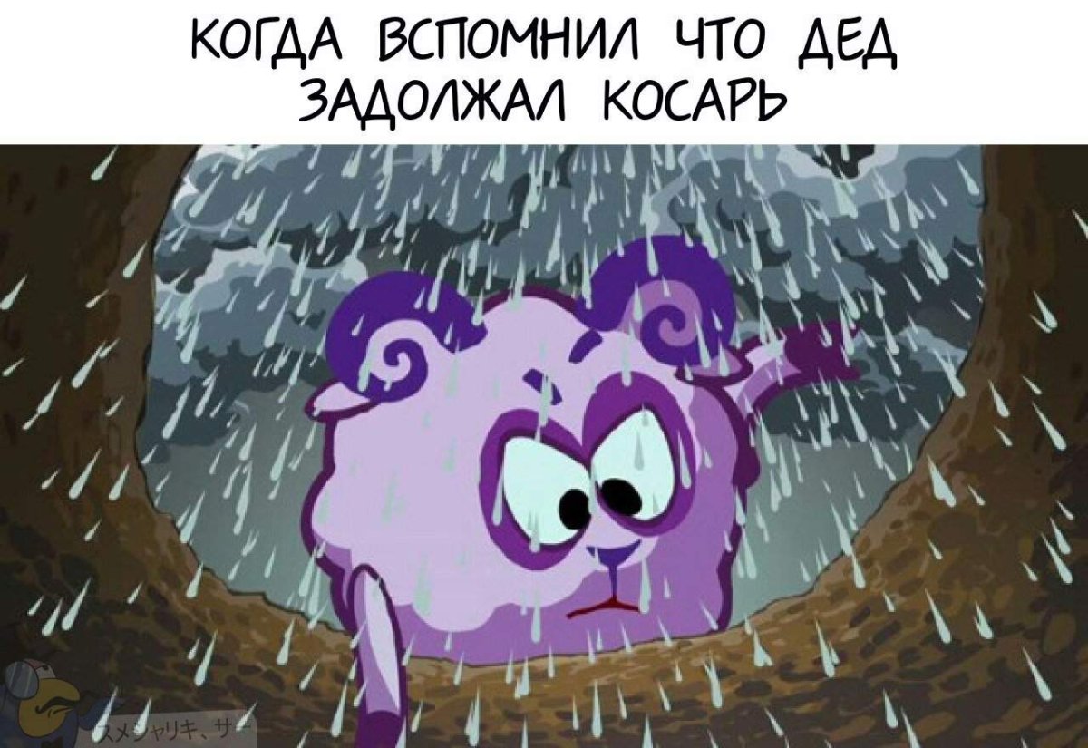 Бараш Смешарики Мем