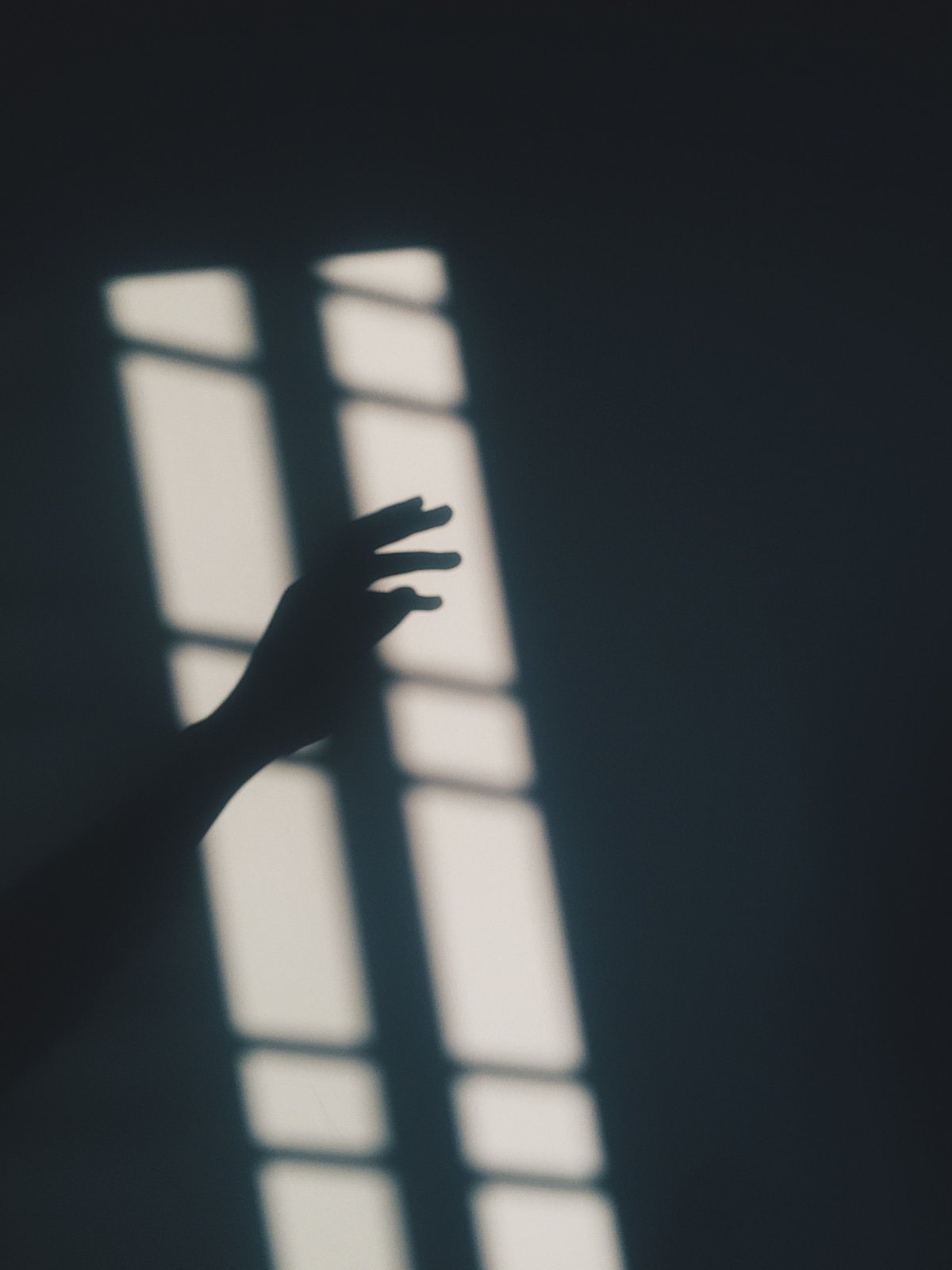 Тень девушки на стене