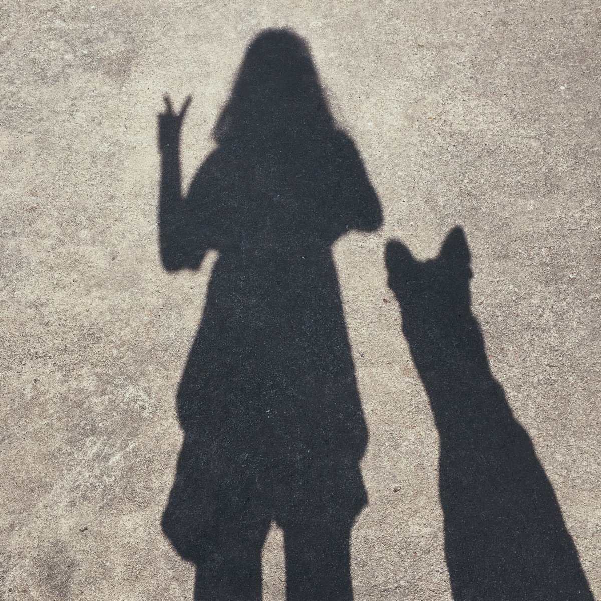 Тень девушки на стене