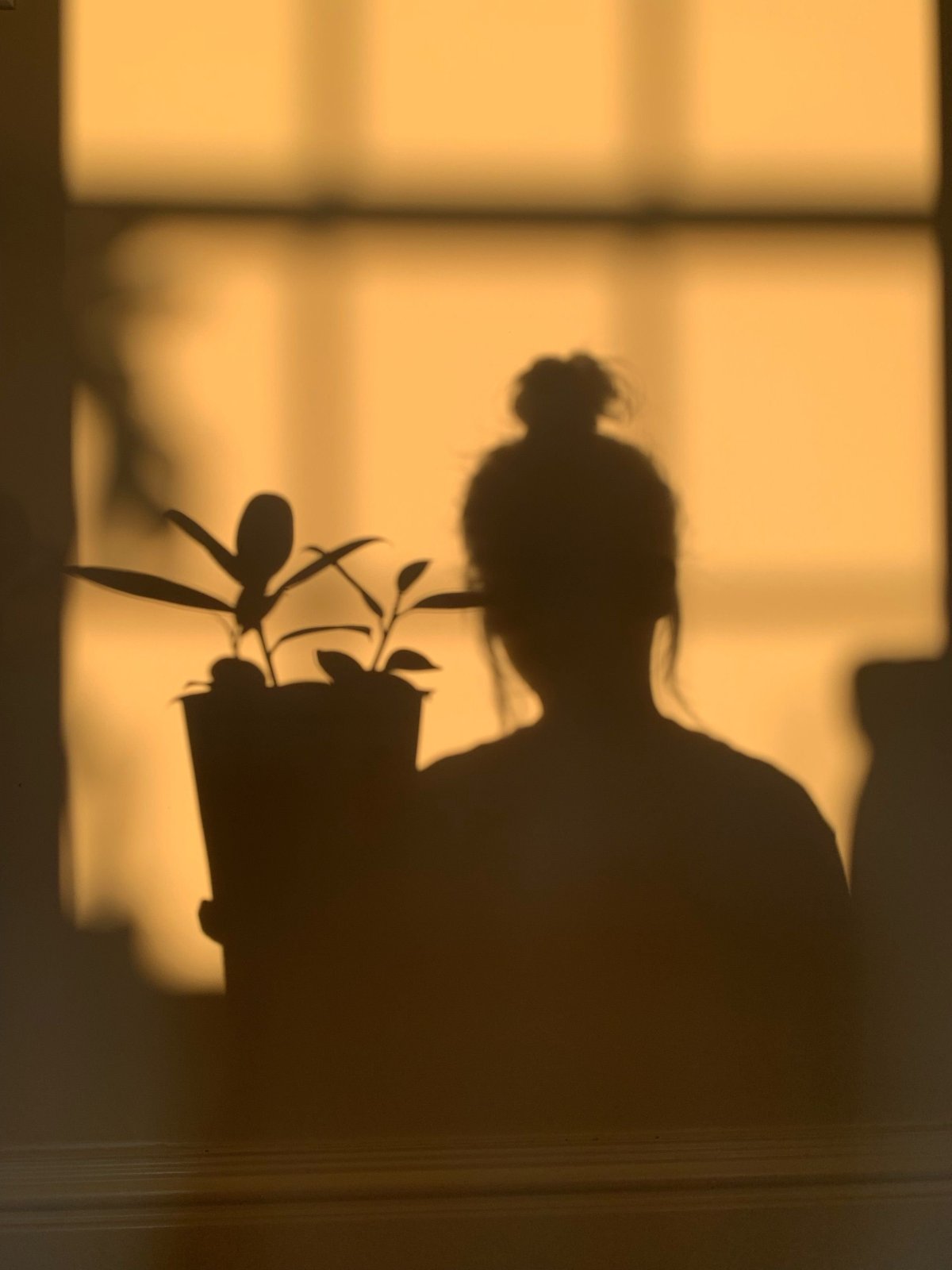 Тень девушки на стене