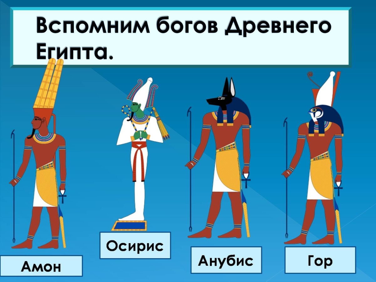 Сет и Анубис различия