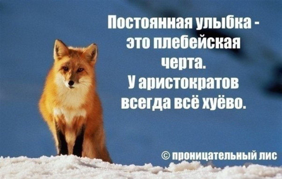 А Колобок выйдет гулять