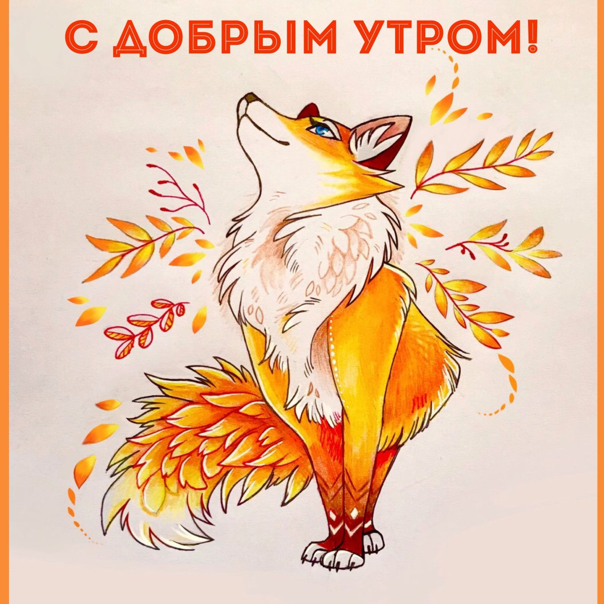 Лиса Джунипер спит