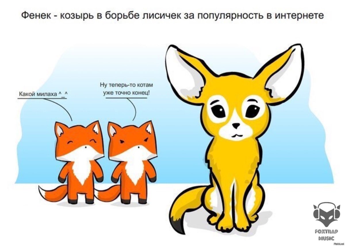 Белка крошка ши