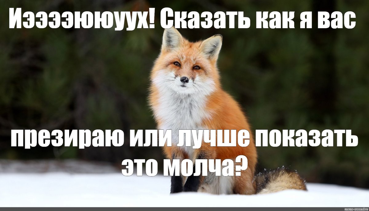 Я похожа на зайку дурная баба