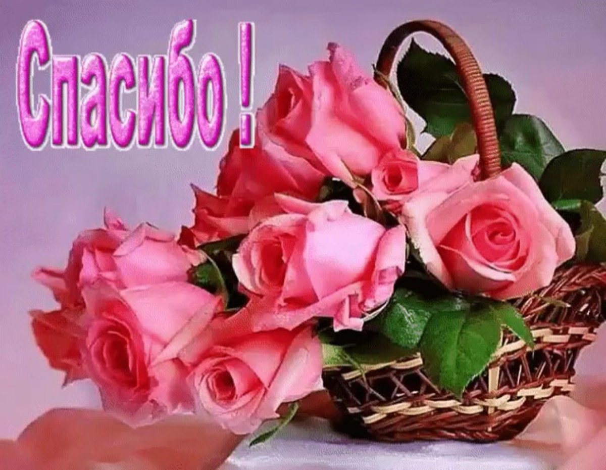 Корзина цветов с пожеланиями