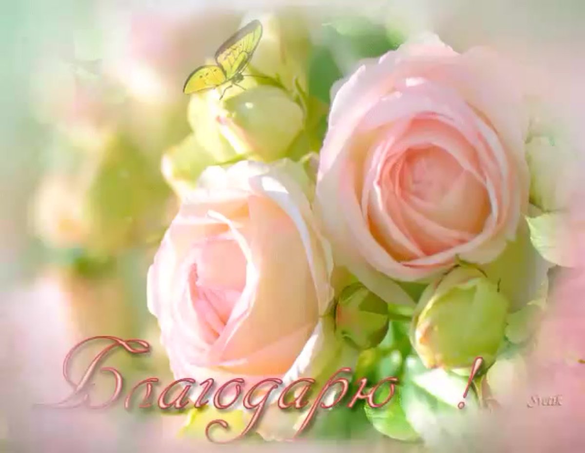 Благодарственные открытки