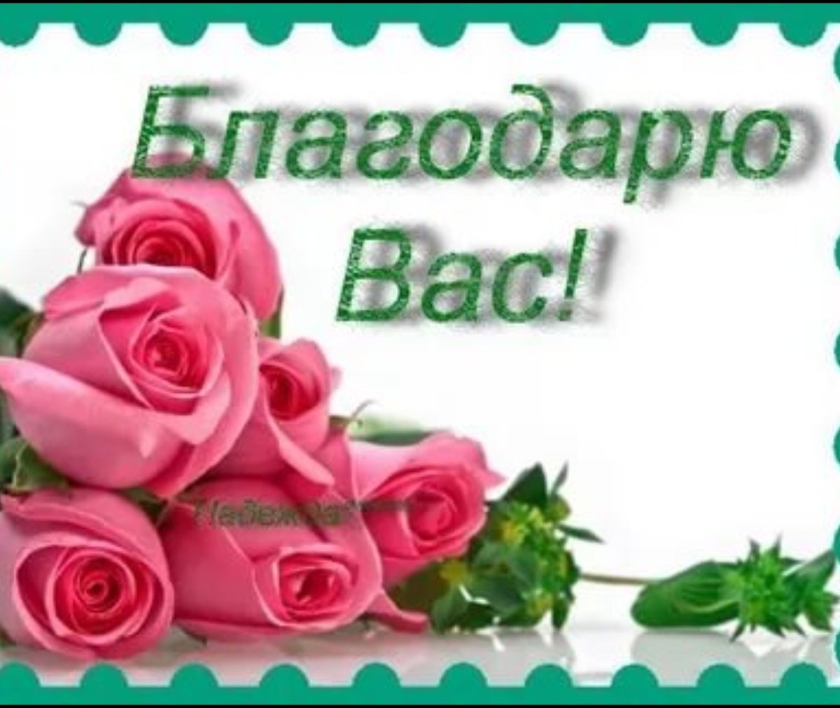 Роза в руке