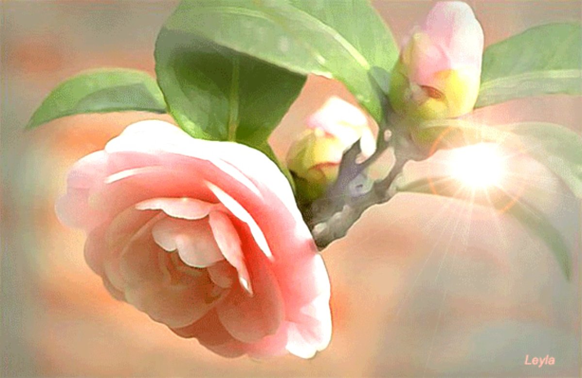 Красивые поздравления с пожеланием счастья